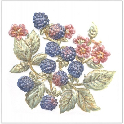 Kerama Marazzi Оранжерея 1 TFA010 Ежевика 9.9x9.9