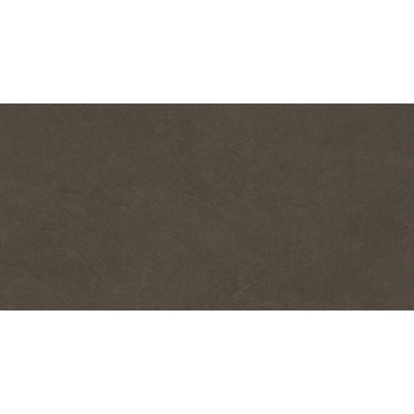 Laparet Sandstone Brown PRO Светло-серый матовый 60x120