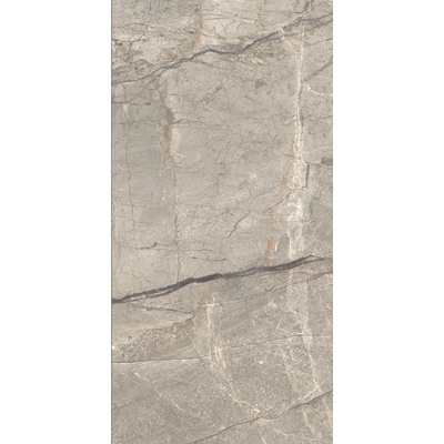 Caesar Anima Futura AGB2 Amazing Silver Matt 60x120