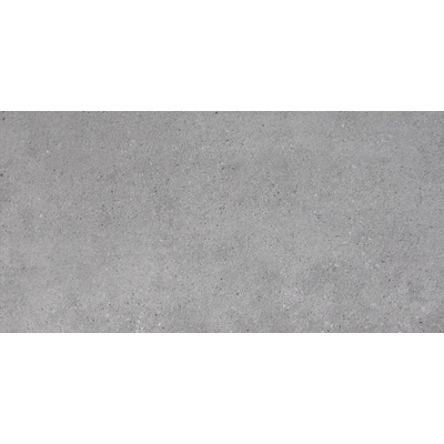 Apavisa Anarchy 8431940208300 Grey Natural 29.75x59.55