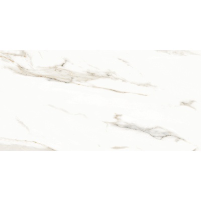 Neodom Splendida N12028 Marmol Carrara Polished 60x120