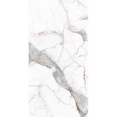 Ocean Ceramic 60x120 Vienna Calcutta 60x120