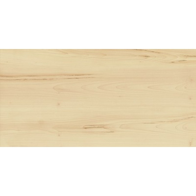 Italon Element 610010001079 Acero Nat. Rett. 60x120