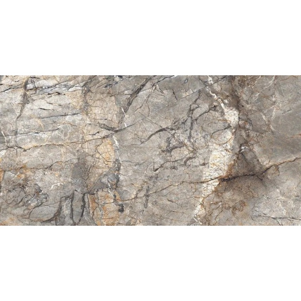 Neodom Unica N20529 Golden River Polished 60x120