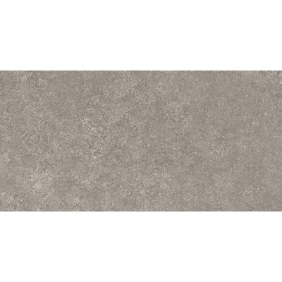 Panaria Prime Stone PZ9PM30 Greige Prime 50x100