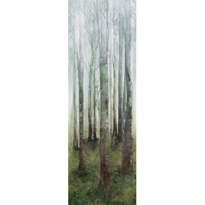 Cotto D’Este Wonderwall Dream A 100x300