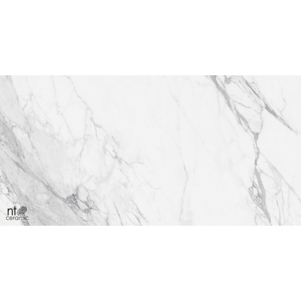 NT Ceramic Marmo NTT99527С Artic statuario Carving 60x120