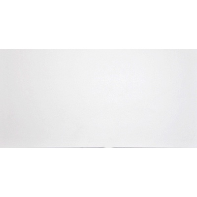 Grasaro Domino G-100/MR/300x600x9 White 30x60