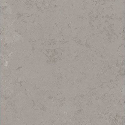 Kerama Marazzi Про Лаймстоун DD640920R Серый Нат 60x60