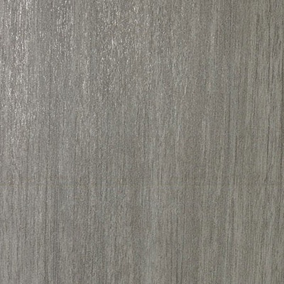 Casalgrande Padana Metalwood 7950095 Argento Naturale 60x60