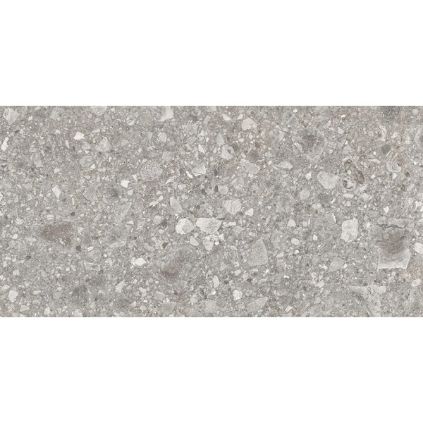 Ergon Lombarda EG89 Grigio Naturale Ret 60x120