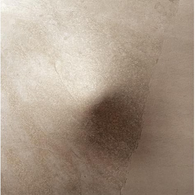 Apavisa Evolution 8431940225536 Beige Natural Bump 59.4x59.4