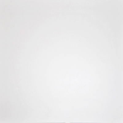 Grasaro Domino G-100/MR/600x600x10 White 60x60