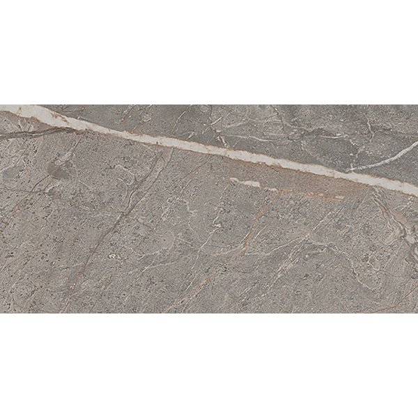 Cercom Amaranto Grey Satin Ret 60x120