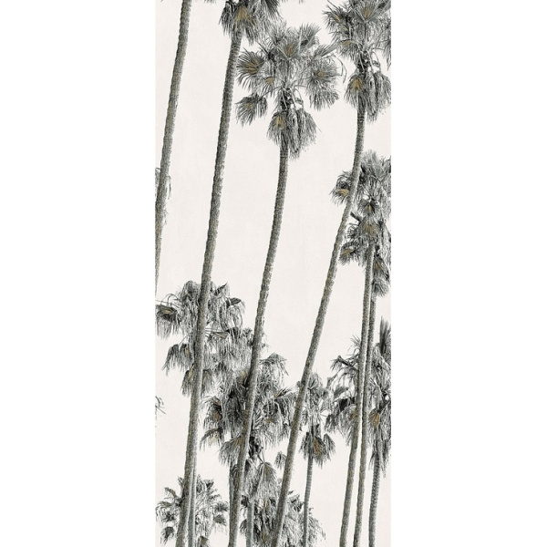 ABK Wide & Style 0009394 Hollywood C 120x280