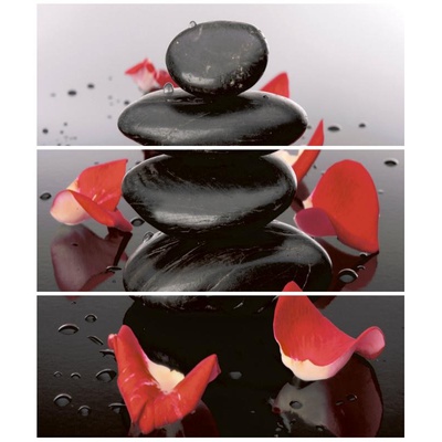 Cerrol Granit Escamas (лепестки + камни) 60x50