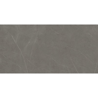 Xlight Liem Xlight Grey Polished 154x328
