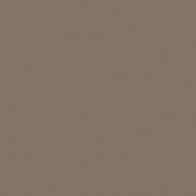 Casalgrande Padana Unicolore Technic 405702 Grigio Cenere Antibacterial 20x20