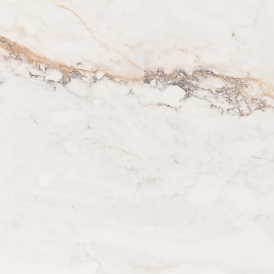 Pamesa Cr Pisa Gold Compacglass Rect-2 60x60