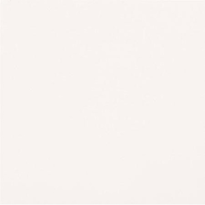 Casalgrande Padana Unicolore Technic Bianco Assoluto Levigato 8,5mm 40x40