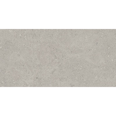 Estima NewPort NP01 Light Grey Неполированный 30,6x60,9