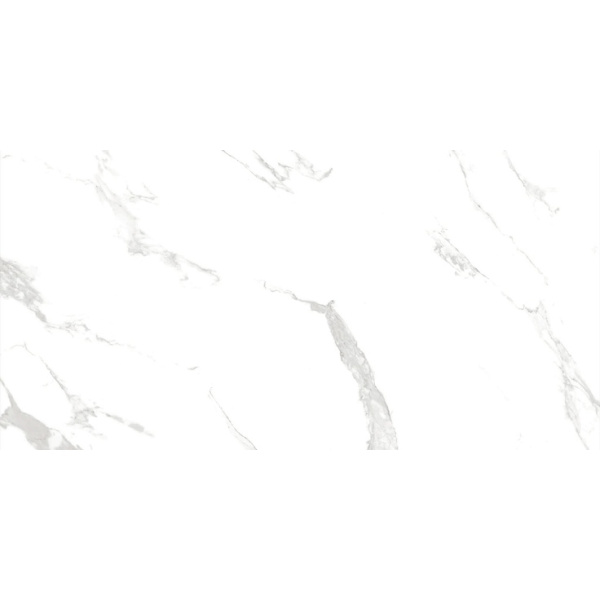 Primavera Royce R_PR2000 Carra Grey Polished 60x120