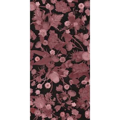 Sodai Bloom 7000143 Specchio Pink A 6 mm 60x120