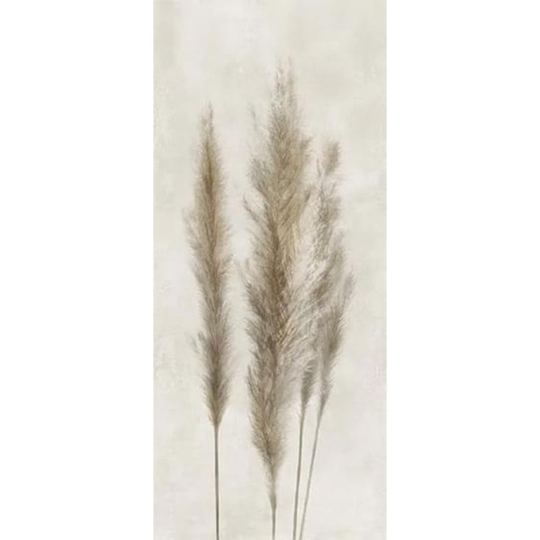 Caesar Deco Solutions AGUH Pampa Faccia A 120x278