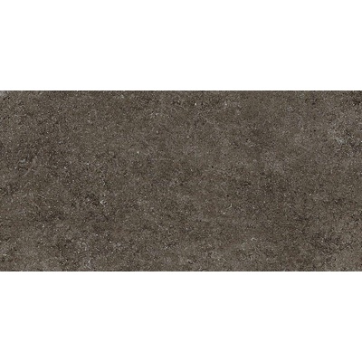 Casa Dolce Casa Sensi 768327 Brown Fossil 60x120