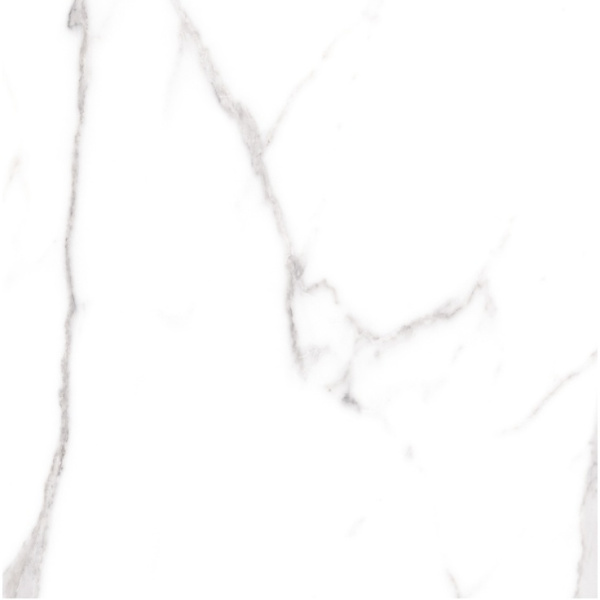 Cerdomus Omnia 88943 Statuario Matt Ret 60x60