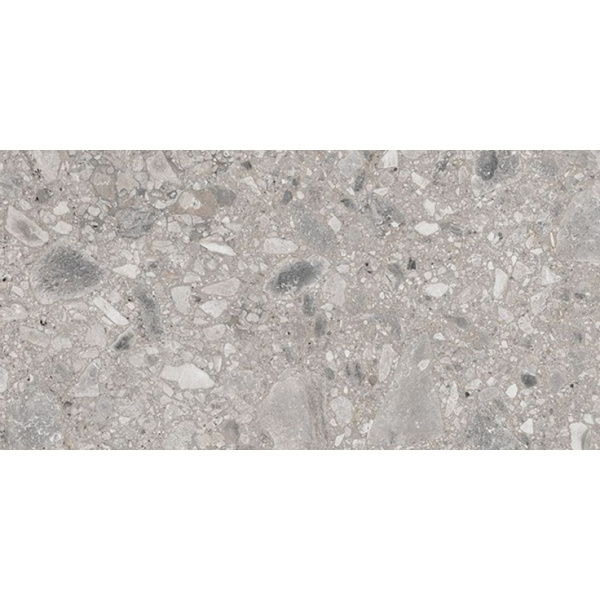 Ariana Futura 2949 Cenere Nat R 60x120