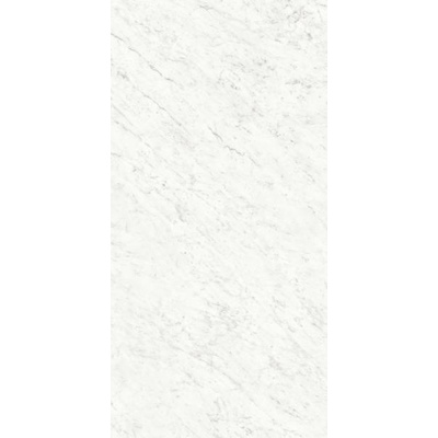 Ariostea Marmi Classici Bianco Carrara Silk 60x120