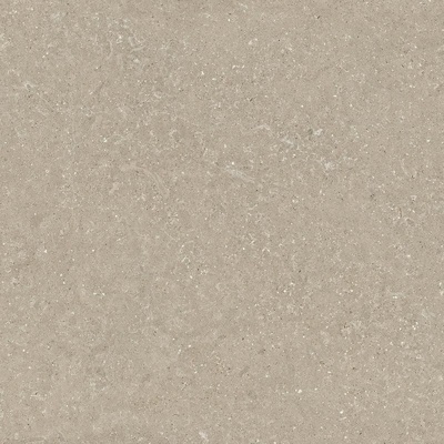 Del Conca Wild GTWD11R HWD 11 Greige 8.5mm Ret 80x80