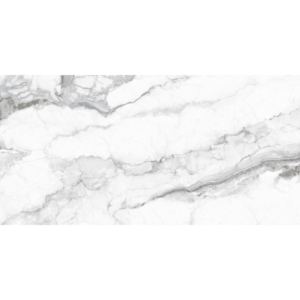 Pardis Ceramic Pazh Carlo 246738 Polished 80x160