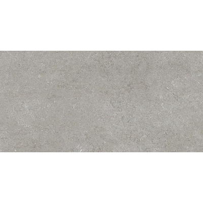 Casa Dolce Casa Sensi 768316 Grey Fossil 60x120