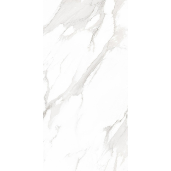 Staro Palacio Super White Polished 60x120