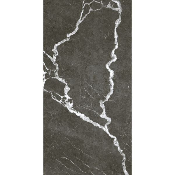 ColiseumGres Michelangelo 610010002747 Дарк Рет 60x120