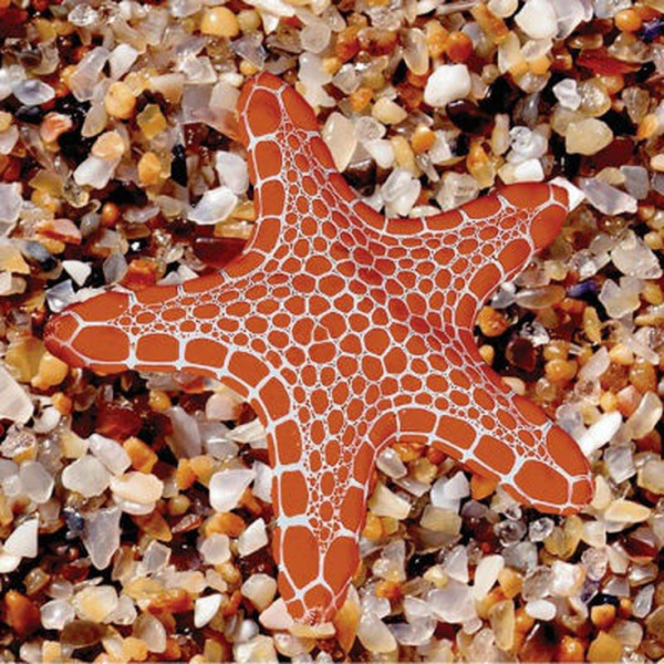 М- Квадрат Адриатика 751962/2 Звезда 10x10