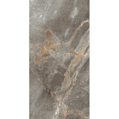 Realistik Miltonia Grey 60x120