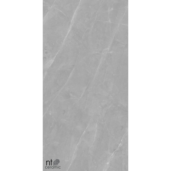 NT Ceramic Granite NTT99617M Limestone Grey Structura 60x120