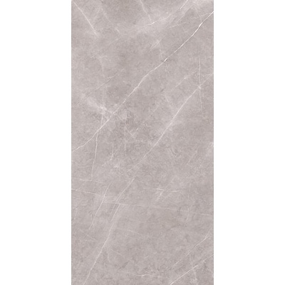 Tau ceramica Armani Silver Polished Mix 160x320