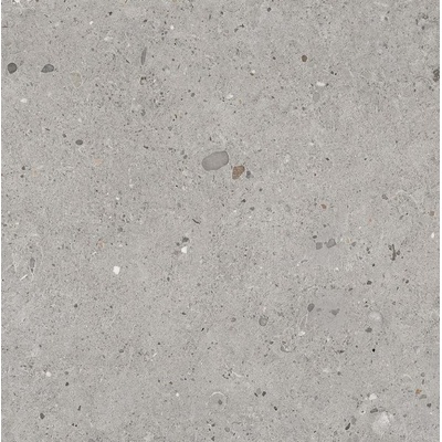 Provenza Ego EHE5 Grigio Naturale 60x60