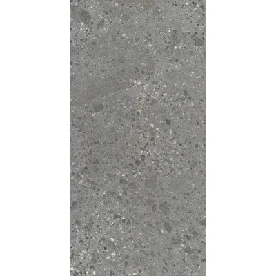 Ariostea Fragmenta P612619 Grigio Milano Soft 60x120