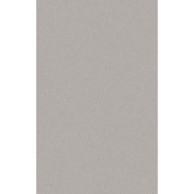 Casalgrande Padana Architecture 4040055 Cool Grey 45x90