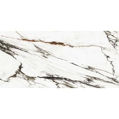 Xlight Paonazzo Biondo Silk 120x250