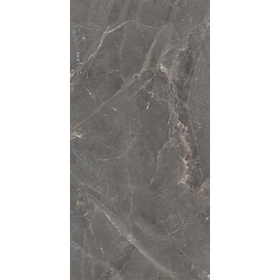 Ocean Ceramic 60x120 Tulip Grey Glossy 60x120