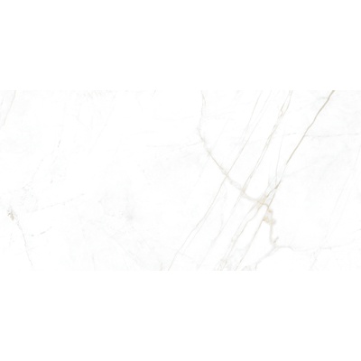 Museum Dual 3350931741 White EP 60x120