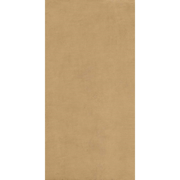 Ariostea Balance IGP62578 Ochre Natural Plus 60x120
