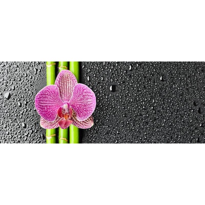 Cerrol Granit Gotas Centro A 20x50