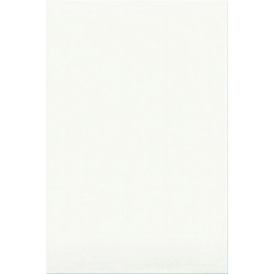 Шахтинская плитка Белая Матовая v 2 30x20